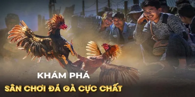 Chinh Phục Cách Chơi Đá Gà GA28 Tại KUBET Với Mẹo Cược Bất Bại 1 Chinh Phục Cách Chơi Đá Gà GA28 Tại KUBET Với Mẹo Cược Bất Bại
